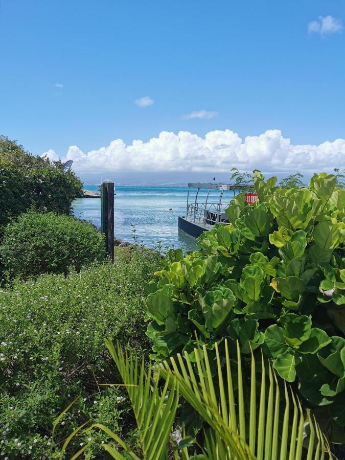 La Creole T3 Lumineux A 1Mn De La Plage Le Gosier  Exteriör bild