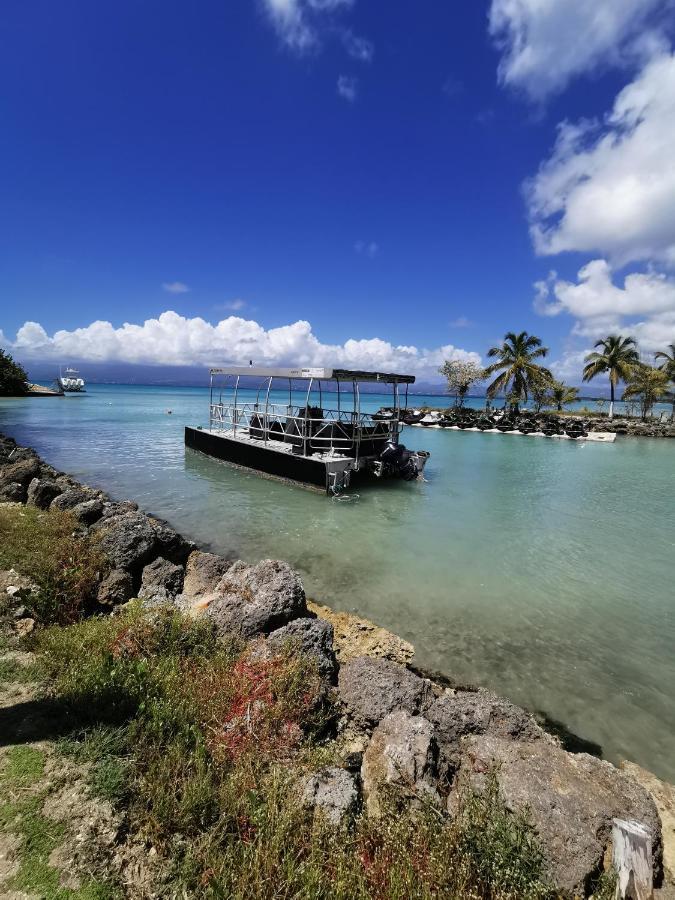 La Creole T3 Lumineux A 1Mn De La Plage Le Gosier  Exteriör bild